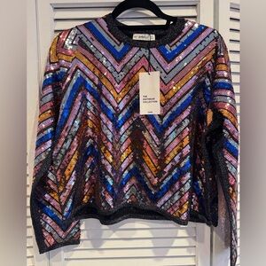 Zara Sequin Chevron Sweater